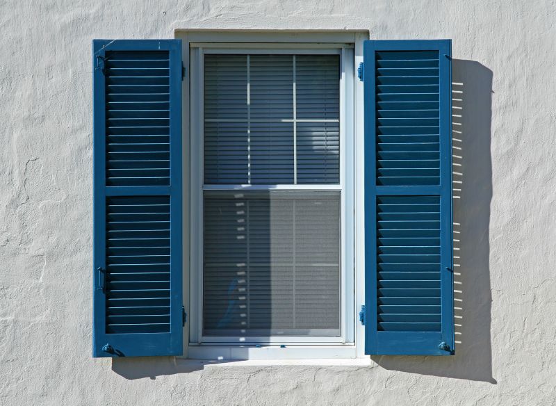 Window Shutters Painting