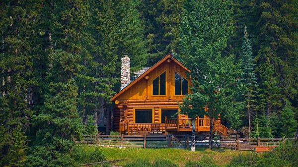 Cabin Staining Service