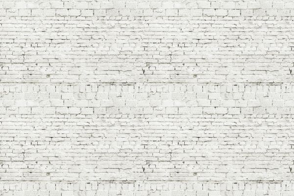 Brick Lime Painting