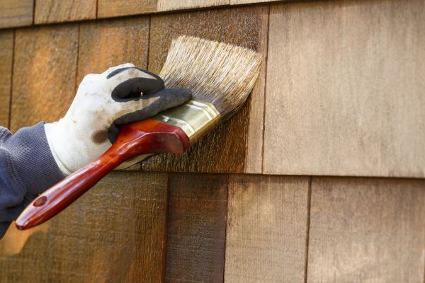 House Staining Service