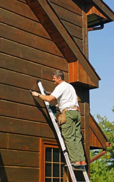 Log Home Staining Service