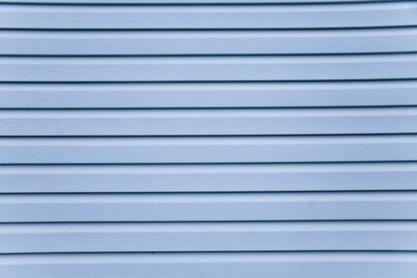 Vinyl Siding Painting Service