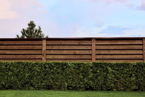 Pine Fence Staining Service