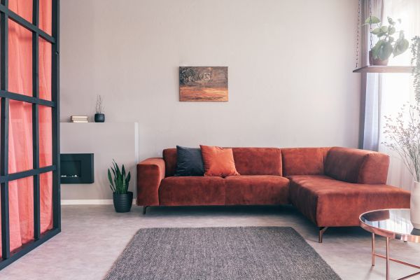 Cement Wall Painting Service